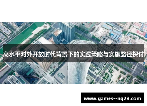 高水平对外开放时代背景下的实践策略与实施路径探讨